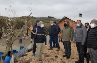 Bursa'da zeytin  üreticilerine uygulamalı eğitim