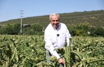 Sürdürülebilir tarım için ortak akıl buluşmaları